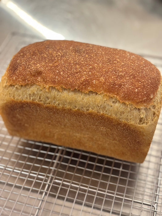 The Origin of Wheat — 古代小麦の美学と食べ比べ WorkShop